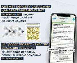Мемлекеттік қызметтердің сапасы